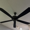 Thumb img 6806