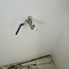 Thumb img 20241013 121719 4434308172666355000