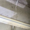 Thumb img 6122