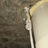 Thumb img 6121