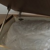 Thumb img 20241102 063955