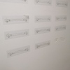 Thumb img 20241106 224259