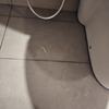 Thumb 20241127 212616