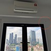 Thumb img 1915