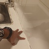 Thumb img20241213194332