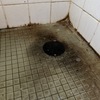 Thumb img 1605