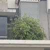 Thumb img 8092