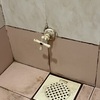Thumb img 2401