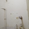 Thumb img 20241224 102757