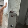 Thumb img 3506