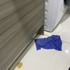 Thumb img 0233