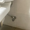 Thumb img 3476