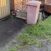 Thumb img 20241206 072349