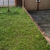 Thumb img 20241206 072311
