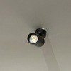 Thumb img 4170