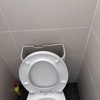 Thumb img 9062