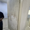 Thumb img 7965