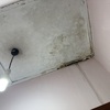 Thumb img 7972