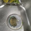Thumb img 20250312 183830