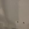 Thumb img 6855