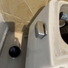 Thumb img 7642