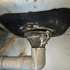 Thumb img 6247