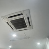 Thumb img 2816