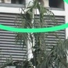 Thumb df062b25 edb0 4670 9fa6 4b37d311b347