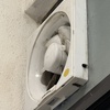 Thumb img 5428