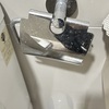 Thumb img 7888