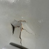 Thumb img 5203
