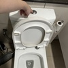Thumb img 0693