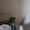 Thumb img 20250718 221450
