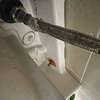 Thumb img 4550