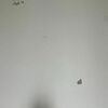 Thumb ata images 0c278b41 fc72 412f b339 00b2eb5ae0a7
