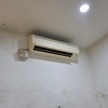 Thumb 206495