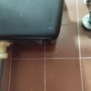 Thumb ata images 17a111ff 55c4 4db2 baa7 b8b30fed4729