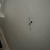 Thumb img 3174