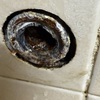 Thumb img 8286