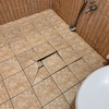 Thumb img 3776