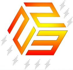 223 ELECT SERVICES