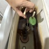 Thumb img 6551