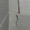 Thumb img 20250909 wa0003