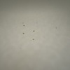 Thumb image