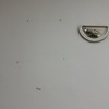 Thumb image