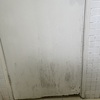 Thumb img 1831