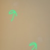 Thumb whatsapp image 2025 11 09 at 14.44.19