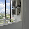 Thumb img 5608
