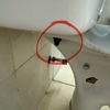 Thumb img 4781