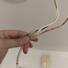 Thumb img 2071